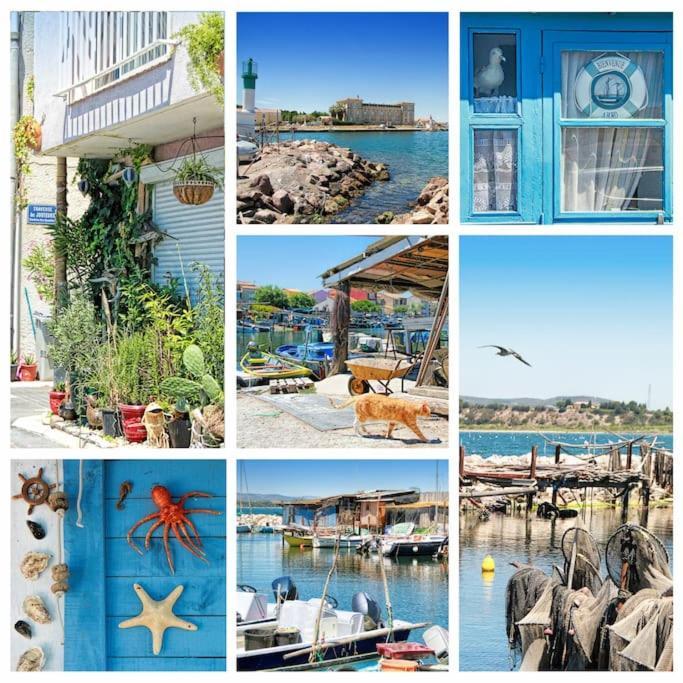 Pour Les Amoureux Des Vieilles Pierres Poussan Dış mekan fotoğraf